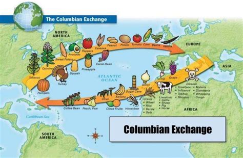 coffee in the columbian exchange